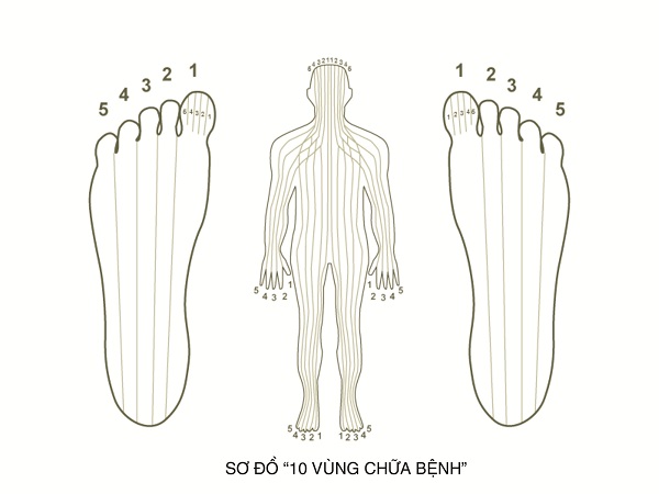 10 đường kinh năng