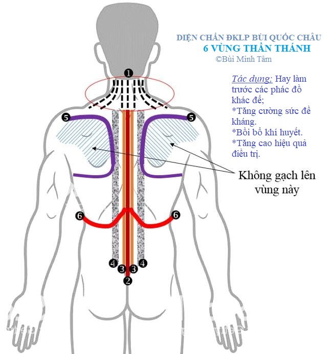 6 vùng thần thánh Diện Chẩn