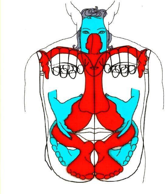 Diện Chẩn Bùi Quốc Châu - Đồ hình Ngoại i trên lưng