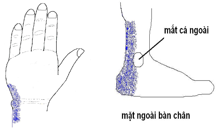 Đau gáy đột ngột sau giấc ngủ